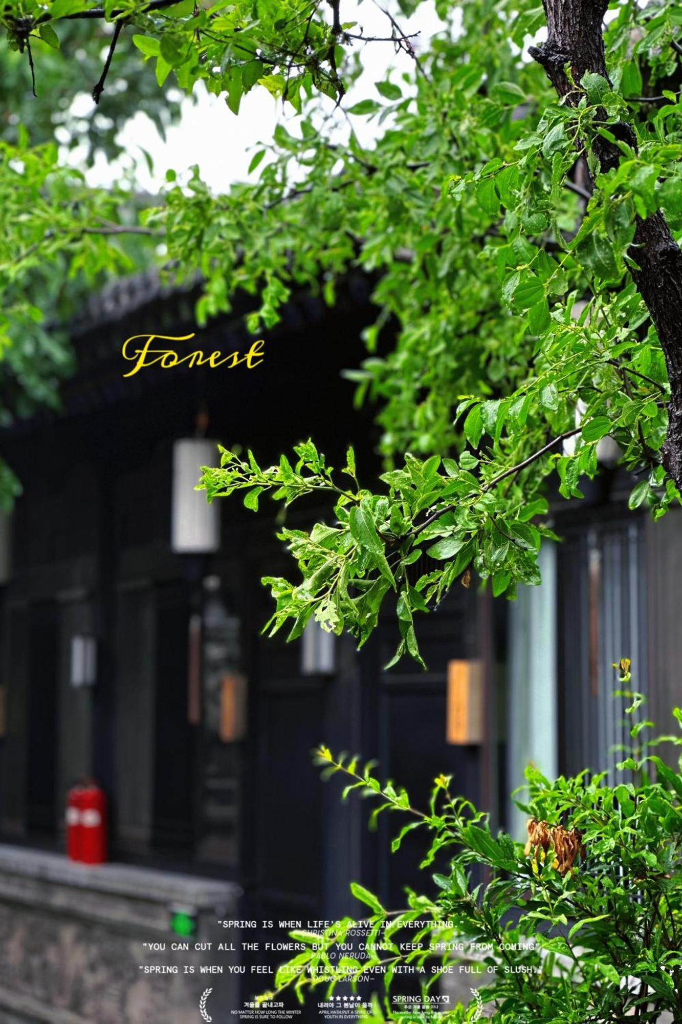 Elsewhere Hotel Inn North Street Branch Pingyao Dış mekan fotoğraf